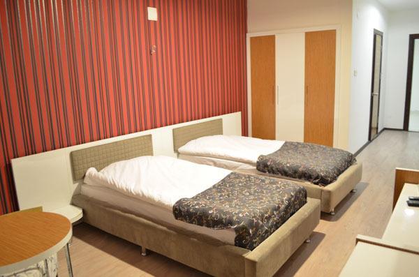 Ozdemir Hotel Pamukova 外观 照片